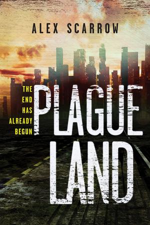 Cover of the book Plague Land by Roberta Gellis