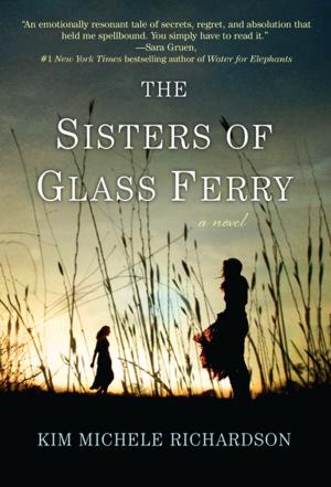 Book cover of The Sisters of Glass Ferry