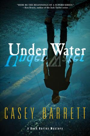 Cover of the book Under Water by Rakesh Satyal
