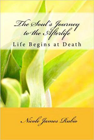 Book cover of The Soul's Journey to the Afterlife