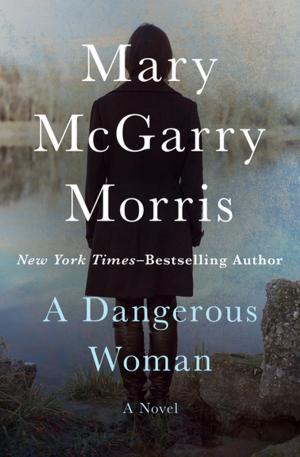 Cover of the book A Dangerous Woman by Margaret McHeyzer
