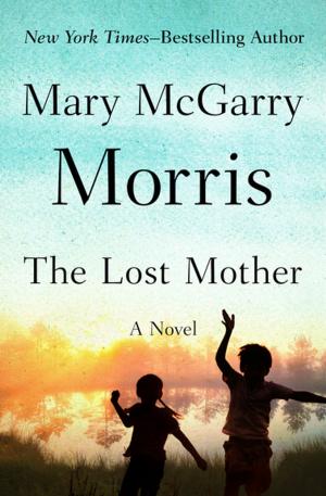 Cover of the book The Lost Mother by Susan Beth Pfeffer