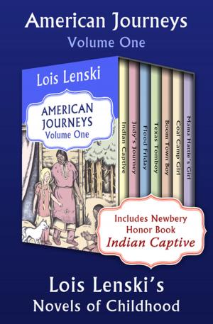 Book cover of American Journeys Volume One