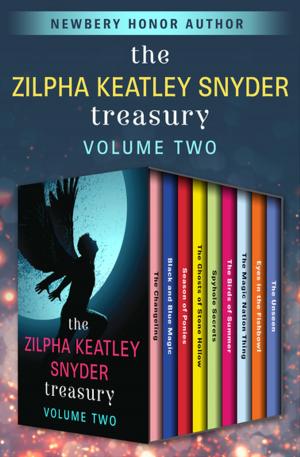 Cover of the book The Zilpha Keatley Snyder Treasury Volume Two by Elizabeth A. Lynn