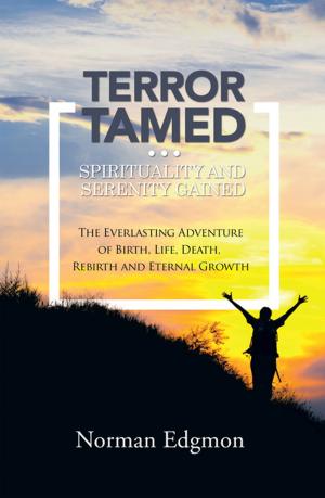 Cover of the book Terror Tamed...Spirituality and Serenity Gained by Divya Kapoor