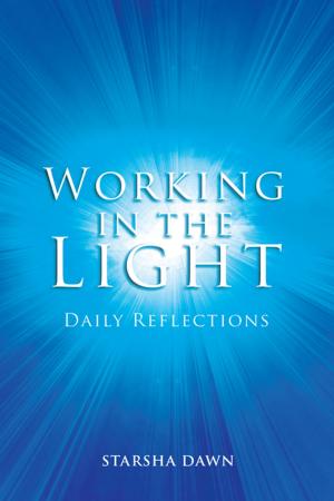 Cover of the book Working in the Light by Heather S. Friedman Rivera R.N. J.D Ph.D