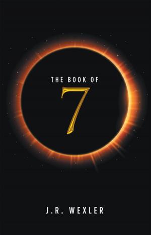 Cover of the book The Book of 7 by Kathrin M. Wyss