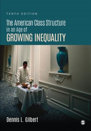 Cover of the book The American Class Structure in an Age of Growing Inequality by Karen A. Bosch, Morghan E. Bosch