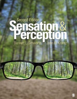 Book cover of Sensation and Perception