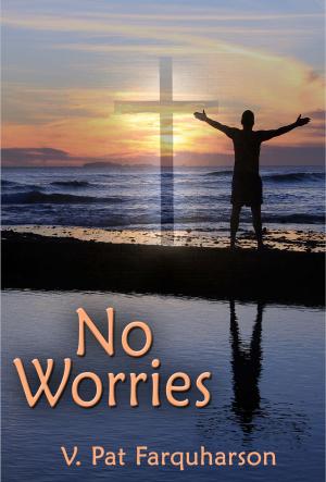 Cover of the book No Worries by Mark Landau