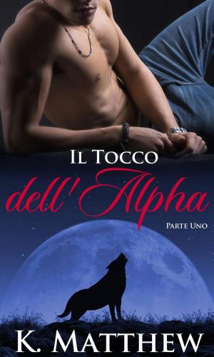 Cover of the book Il Tocco dell'Alpha by Annemarie Nikolaus