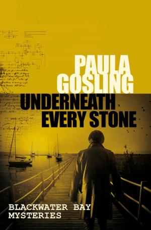 Cover of the book Underneath Every Stone by Peter James