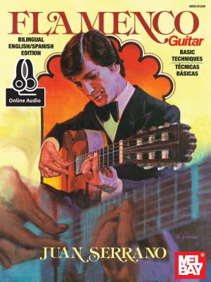 Cover of the book Flamenco Guitar Basic Techniques by Duke Sharp