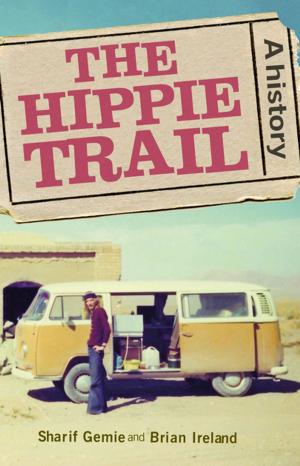 Cover of the book The hippie trail by June Cooper