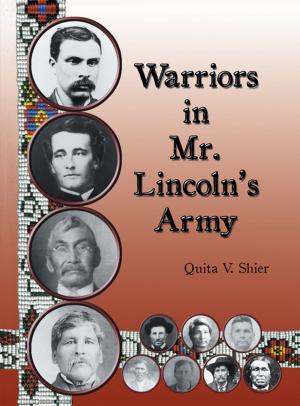 Book cover of Warriors in Mr. Lincoln’S Army