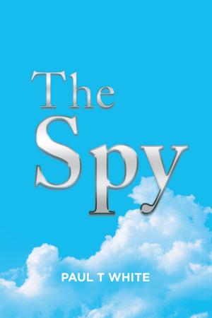 Cover of the book The Spy by Vacir de Souza LMHC CAP CFAE