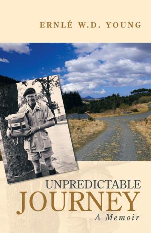 Cover of the book Unpredictable Journey by Donald J. Mang