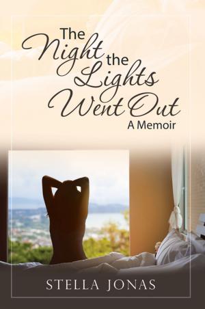 Cover of the book The Night the Lights Went Out by Russ Terry