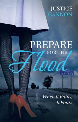 Cover of the book Prepare for the Flood by Nanette Sagastume