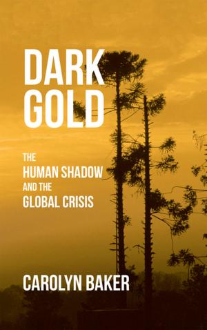Book cover of Dark Gold