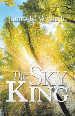 Cover of the book The Sky King by Traverse Davies