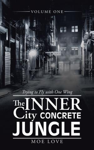 Cover of the book The Inner City Concrete Jungle by David A. Ringer