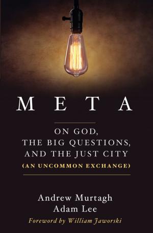 Cover of the book Meta by Daniel A. Siedell