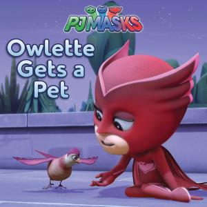 Cover of the book Owlette Gets a Pet by Lauren Forte