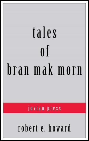 Cover of the book Tales of Bran Mak Morn by A.E.W. Mason