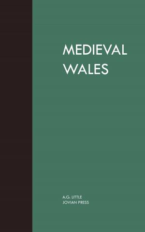 Cover of the book Medieval Wales by Charles Fontenay