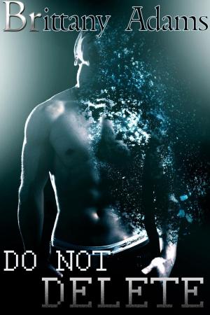 Cover of the book Do Not DELETE by Brittany Adams