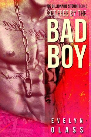 Book cover of Set Free by the Bad Boy