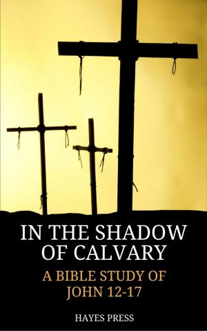 Book cover of In the Shadow of Calvary: A Bible Study of John 12-17