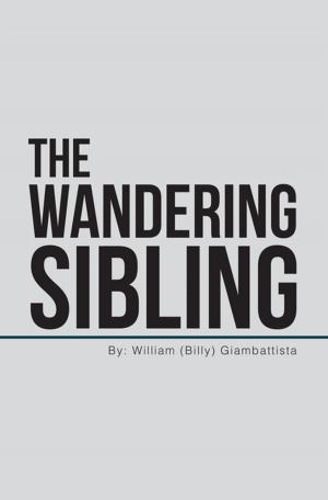 Cover of the book The Wandering Sibling by Barbara Rose Brooker