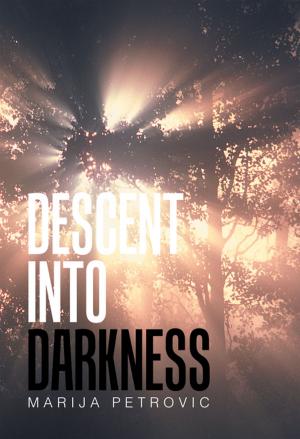 Cover of the book Descent into Darkness by Andy Grant