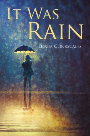 Cover of the book It Was Rain by Richard Franza