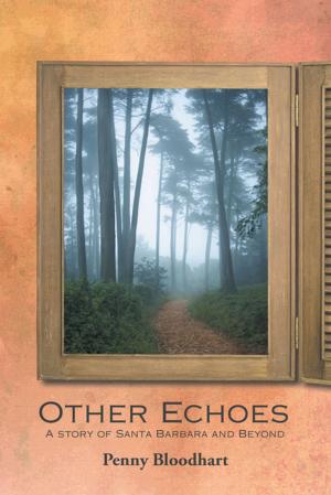 Cover of the book Other Echoes by Jairenmes Robinson