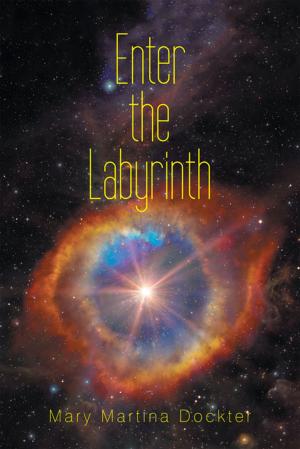 Cover of the book Enter the Labyrinth by Robin Wood