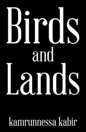 Book cover of Birds and Lands