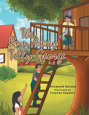 Cover of the book The Run Away Telly George by Edward W. Renner