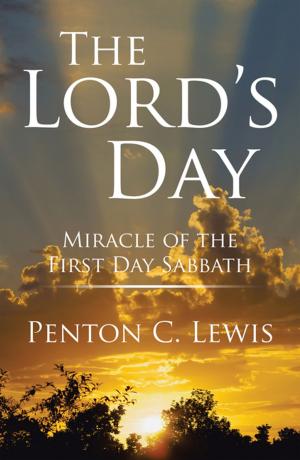 Cover of the book The Lord’S Day by John Elkington