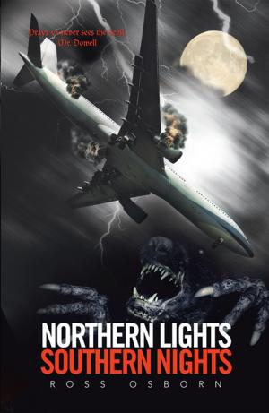 Cover of the book Northern Lights Southern Nights by Michael N. Raskin