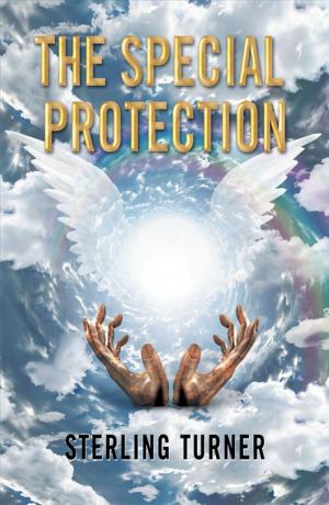 Cover of the book The Special Protection by Rhonda Gate