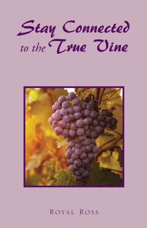 Cover of the book Stay Connected to the True Vine by James Carty