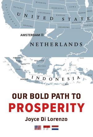 Cover of the book Our Bold Path to Prosperity by J. D. Sloane