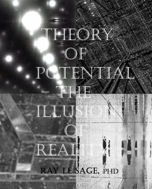 bigCover of the book Theory of Potential – the Illusion of Reality by 