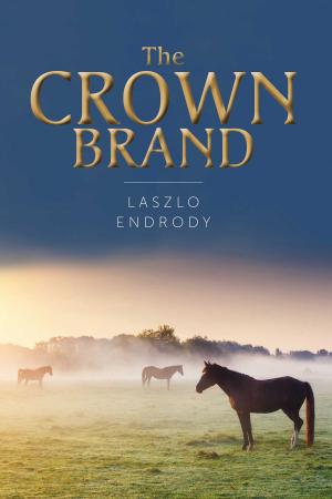 Cover of the book The Crown Brand by Zalman Velvel