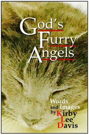 Cover of the book God's Furry Angels by Dan Feltham