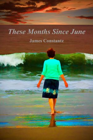 Cover of the book These Months Since June by Rina Lova
