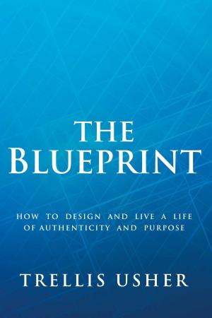 Cover of the book The Blueprint by Matt O'Grady